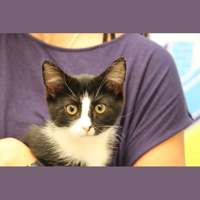 Photo of Tilly (4939)