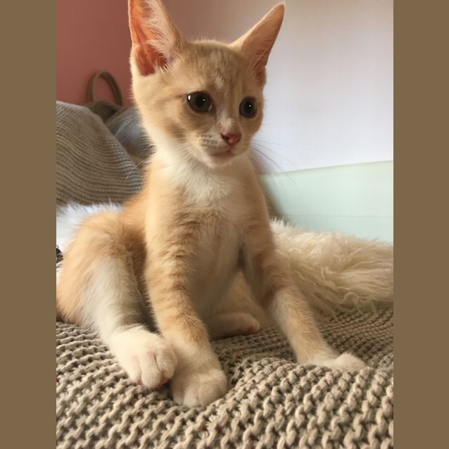 Photo of Leroy (4770)