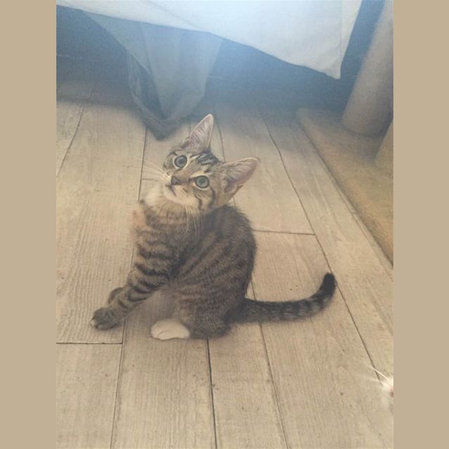 Photo of Buffy