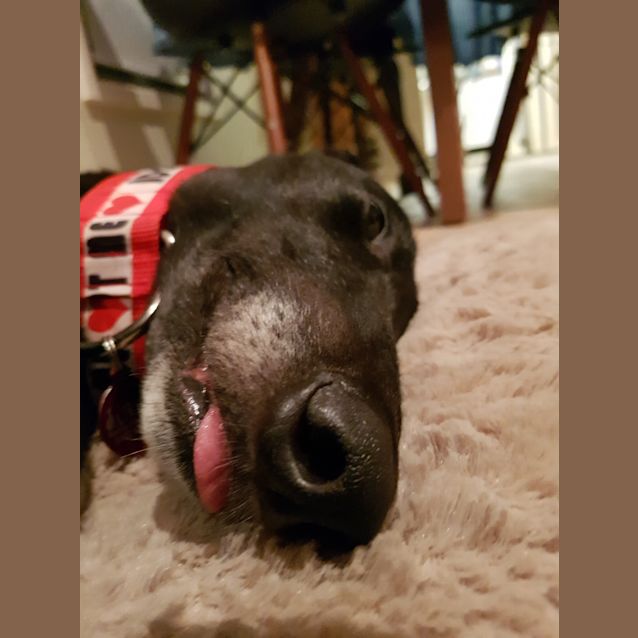 Photo of The Audacity Of “Hope”. Melbourne.