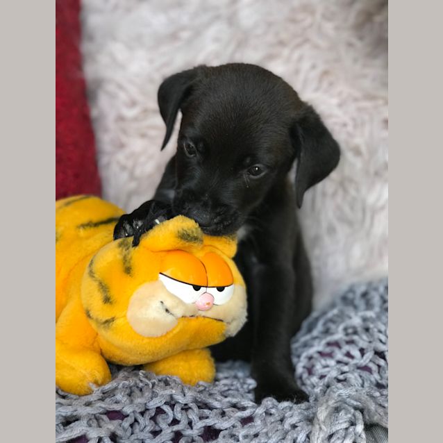 Photo of Levi