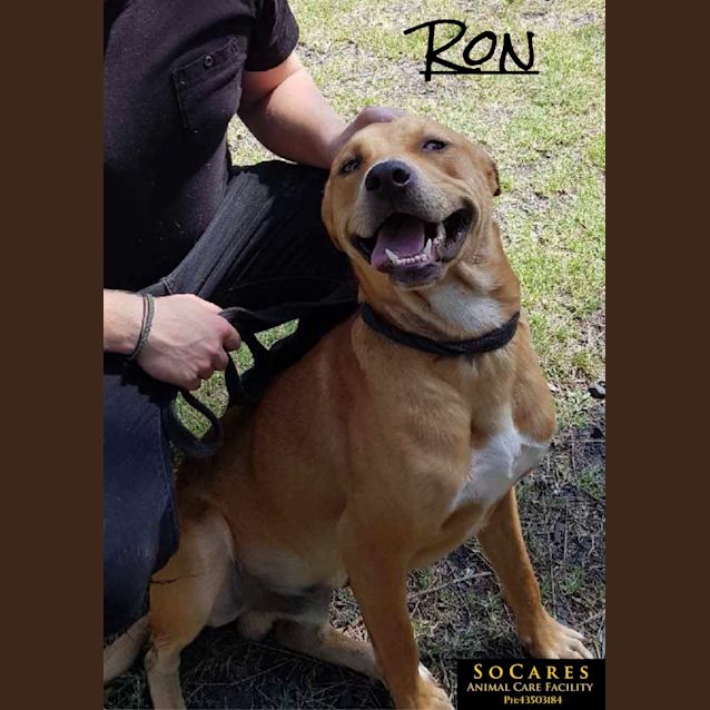 Photo of Ron