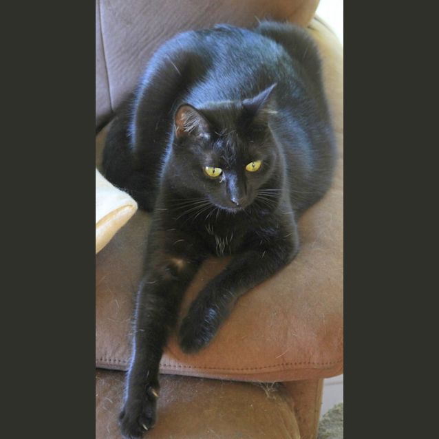 Photo of Nayeli 