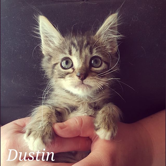 Photo of Dustin 