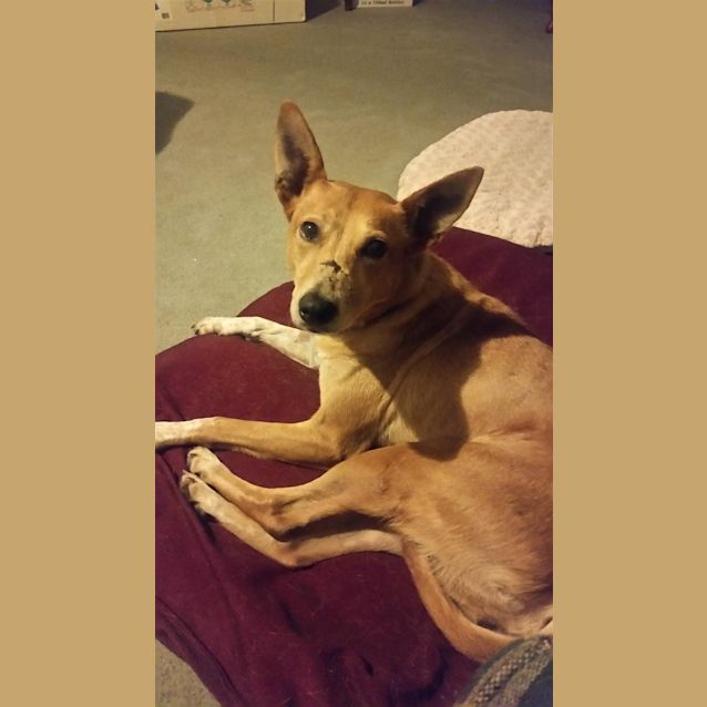 Photo of Dottie