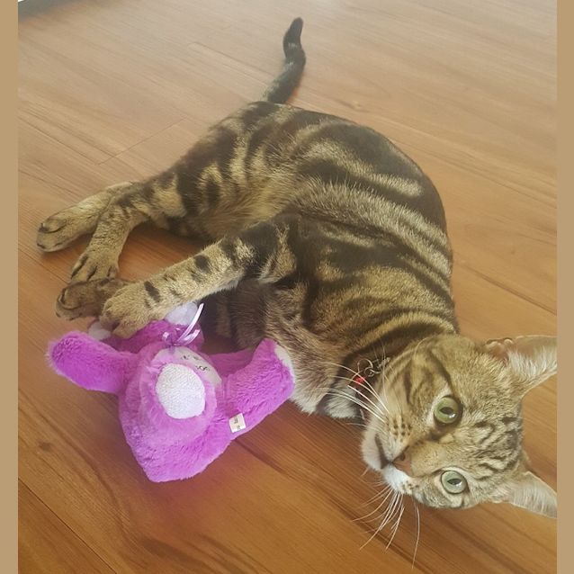 Photo of Widgit Ec0406