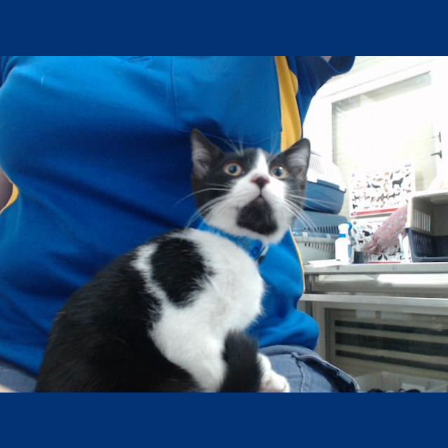 Photo of Mack (5540)