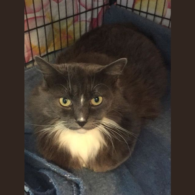 Photo of Leila