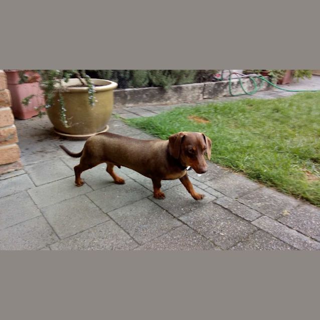 Photo of Charlie