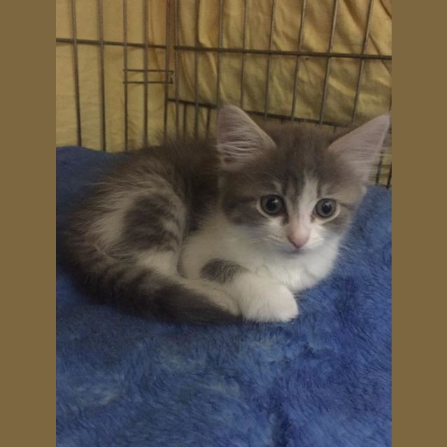 Photo of Molly