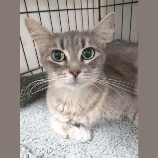 Photo of Jazz