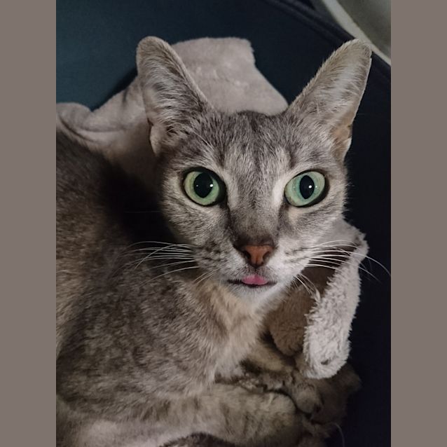 Photo of Pearl