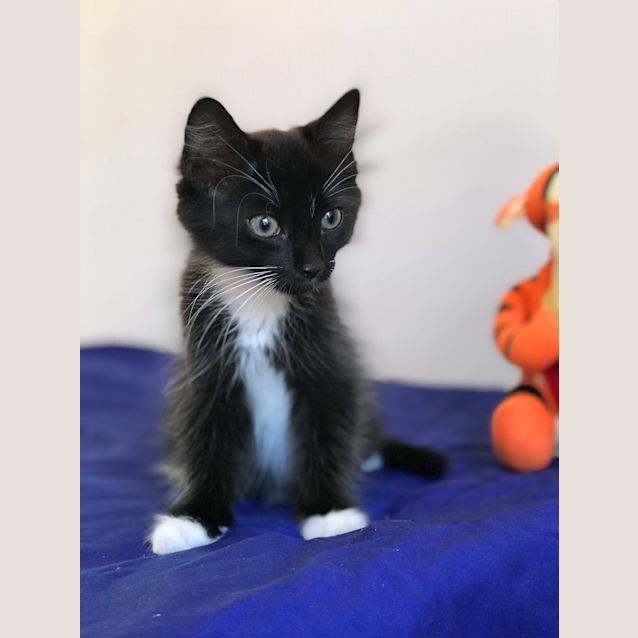Photo of Lilly