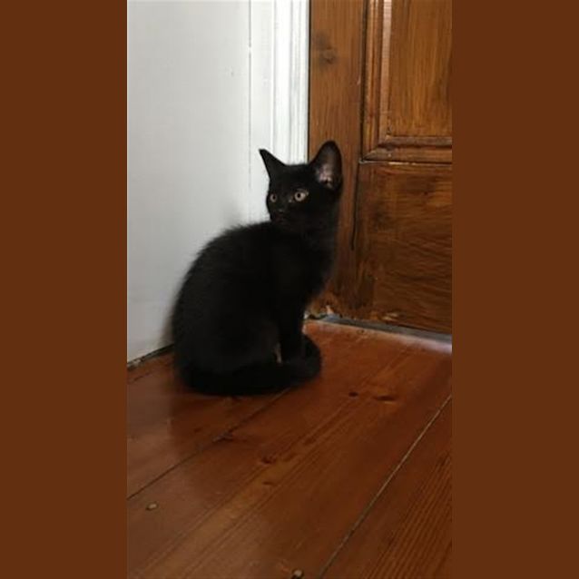 Photo of Jess