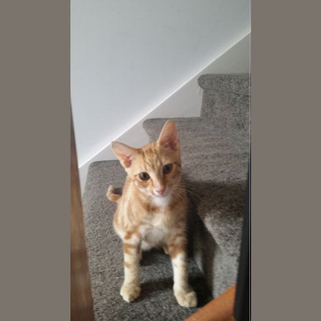 Photo of Arnie