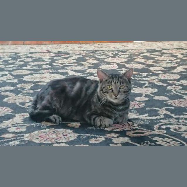 Photo of George