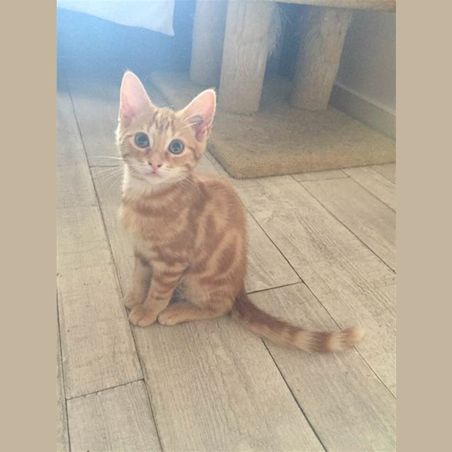 Photo of Oz