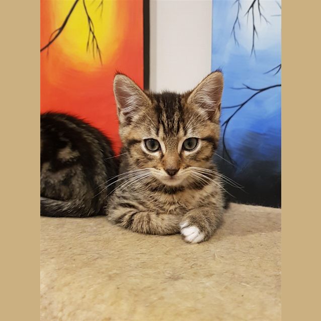 Photo of Spike