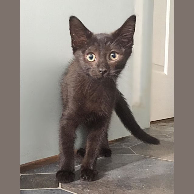 Photo of Dimitri (4457)