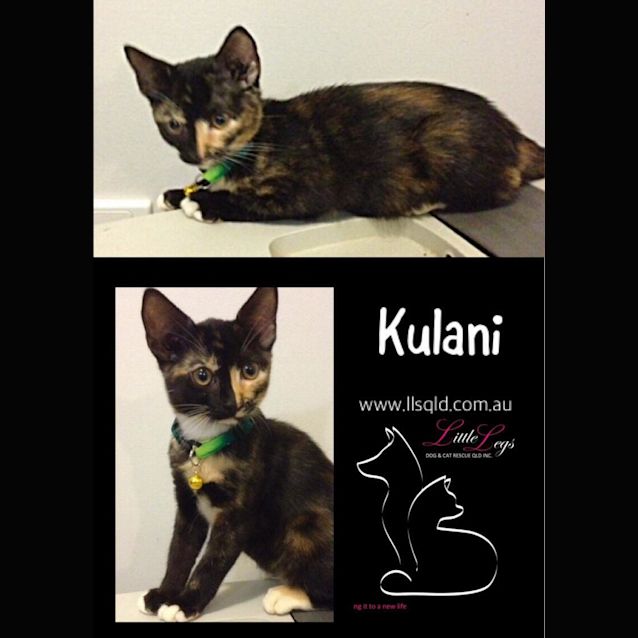 Photo of Kulani