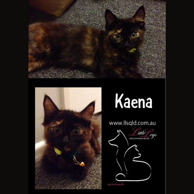 Photo of Kaena