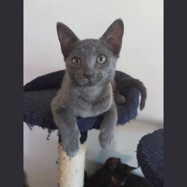Photo of Winston