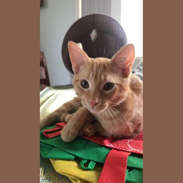 Photo of Tj