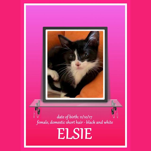 Photo of Elsie