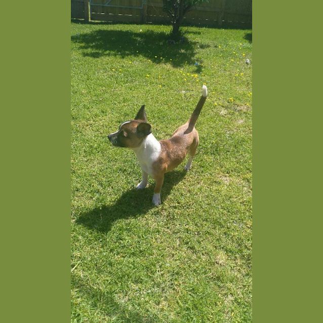 Photo of Mia