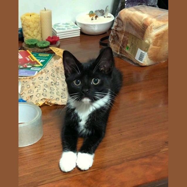 Photo of Lily