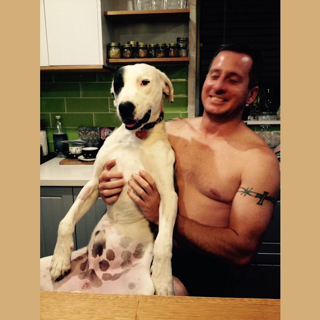 Photo of Scooby 