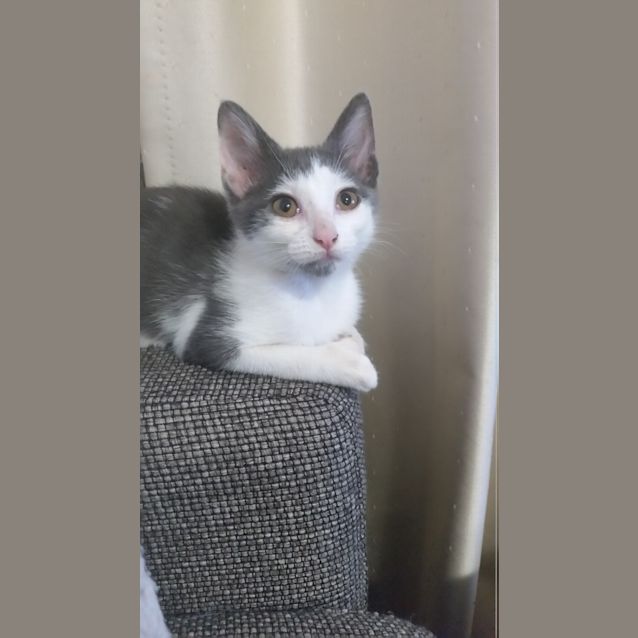 Photo of Missy