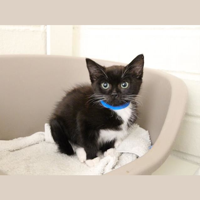 Photo of Bobby (5401)