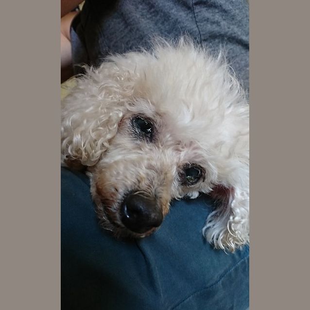Photo of Cappuccino