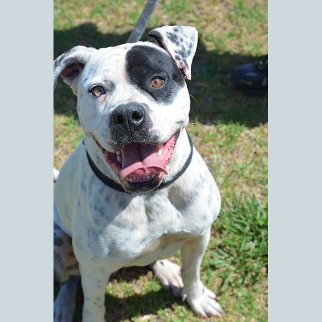 Photo of Sooky Dl1784