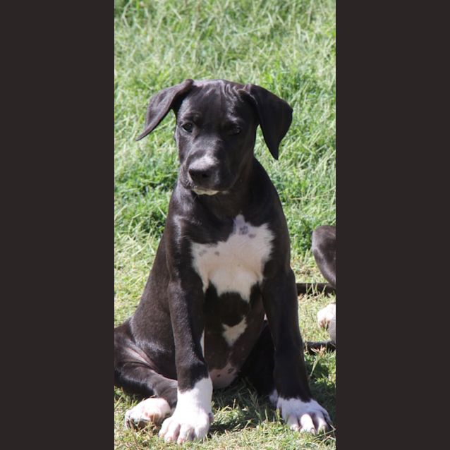 Photo of Mia
