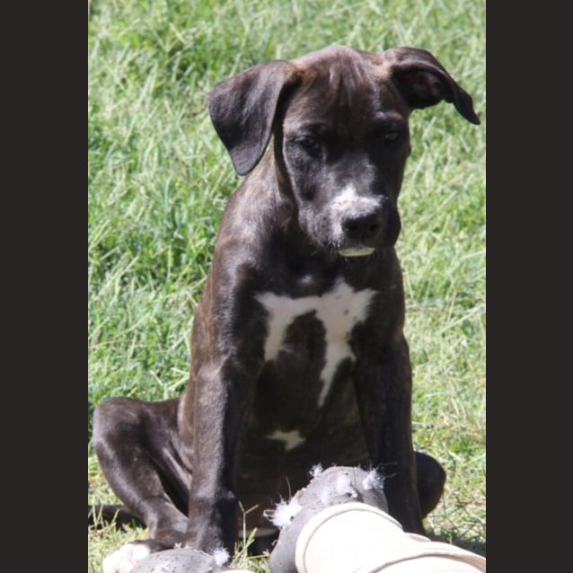 Photo of Trix