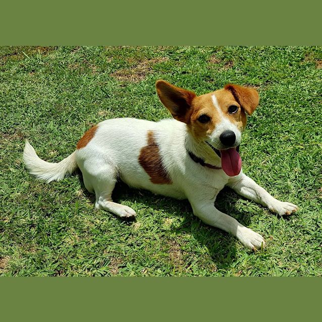 Photo of Layla And Cookie!