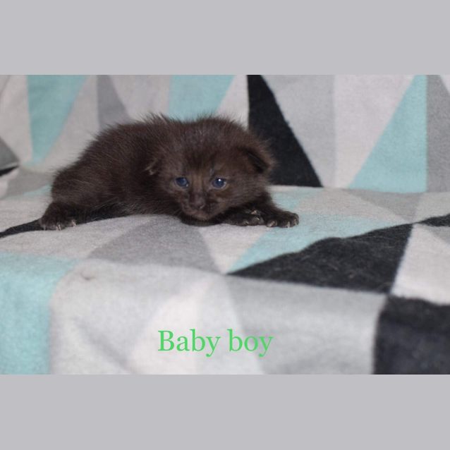 Photo of Jet