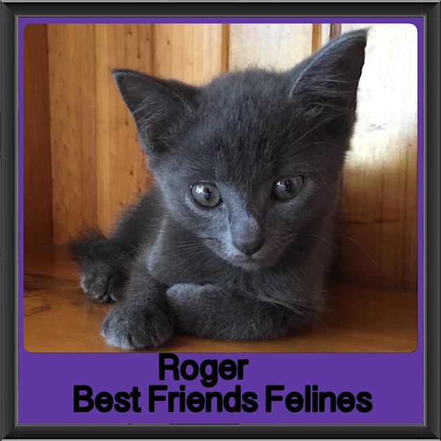 Photo of Roger 