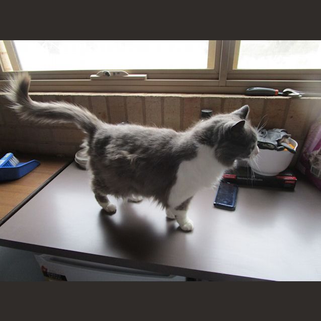 Photo of Monty
