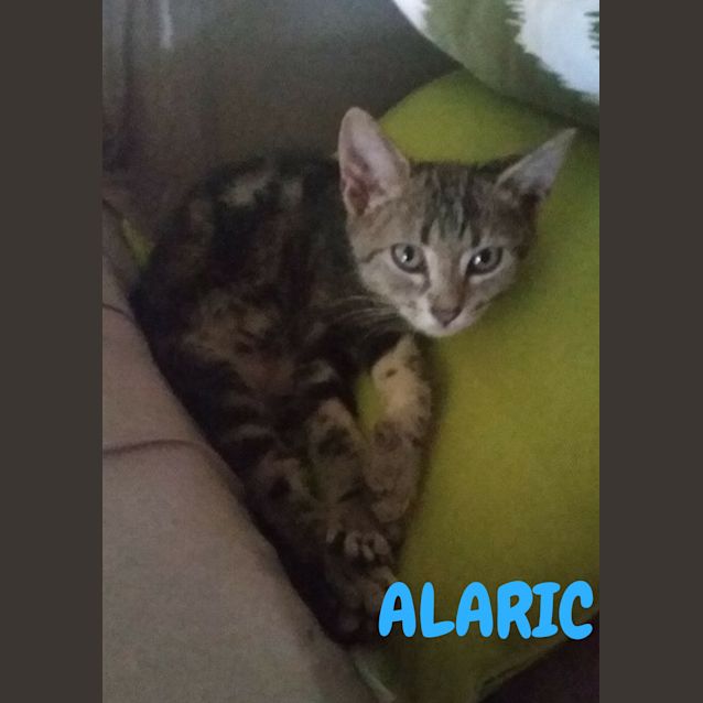 Photo of Alaric