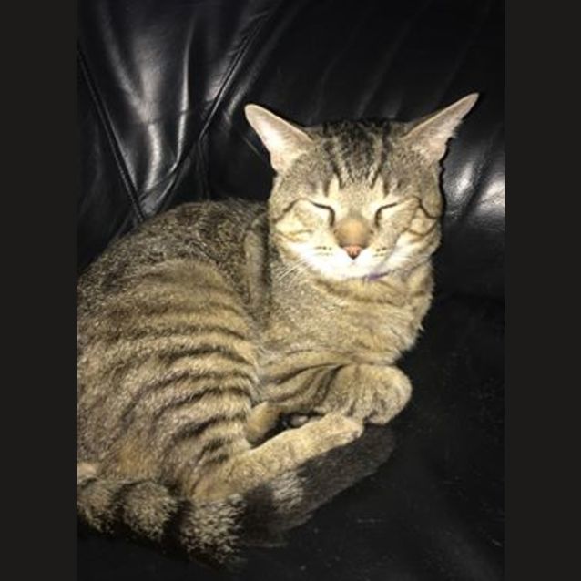 Photo of Marley