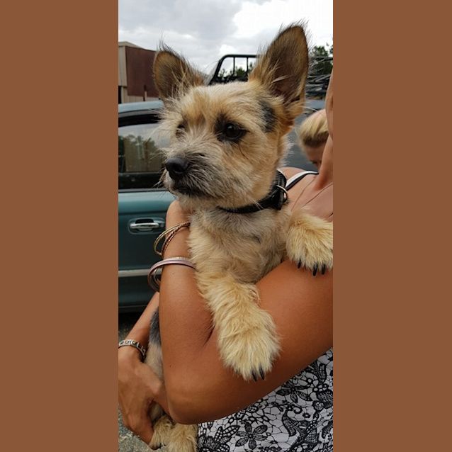 Photo of Bert