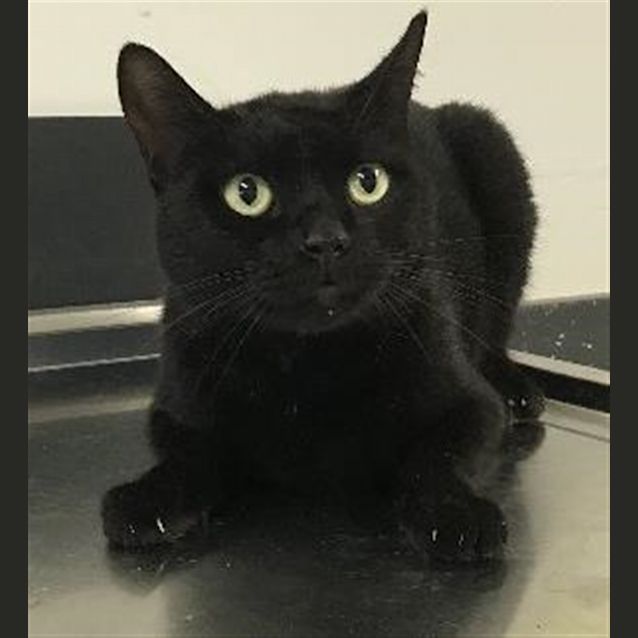 Photo of Jasper