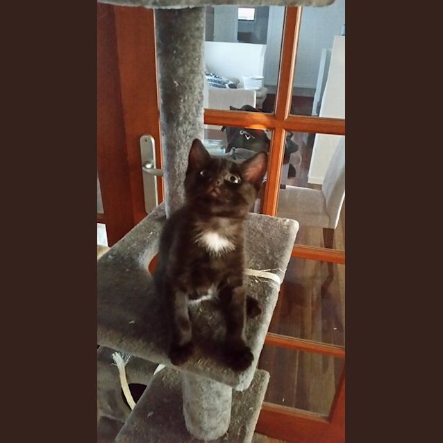 Photo of Nikita