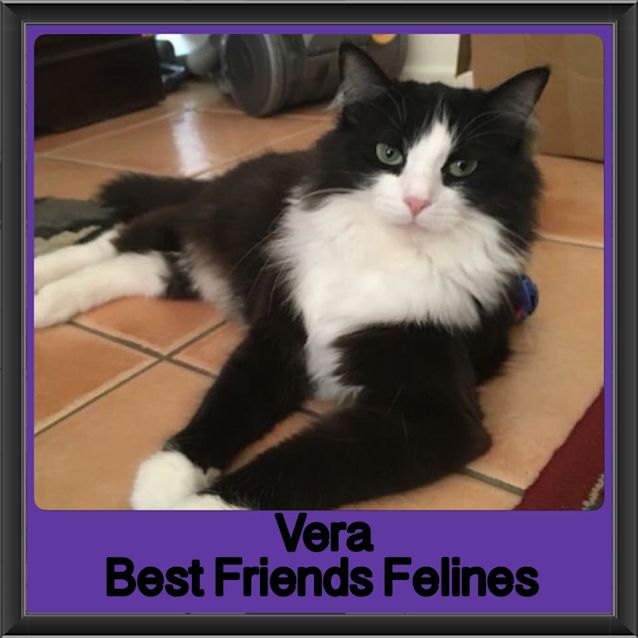 Photo of Vera