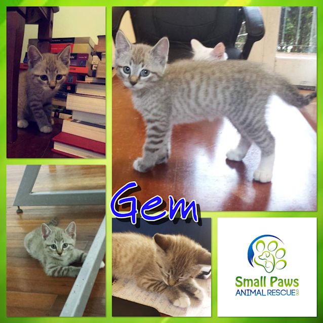 Photo of Gem