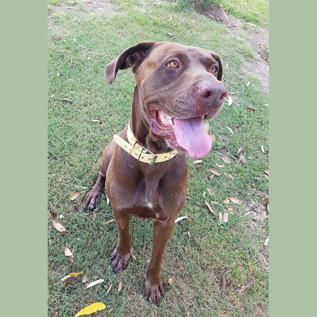Photo of Coco