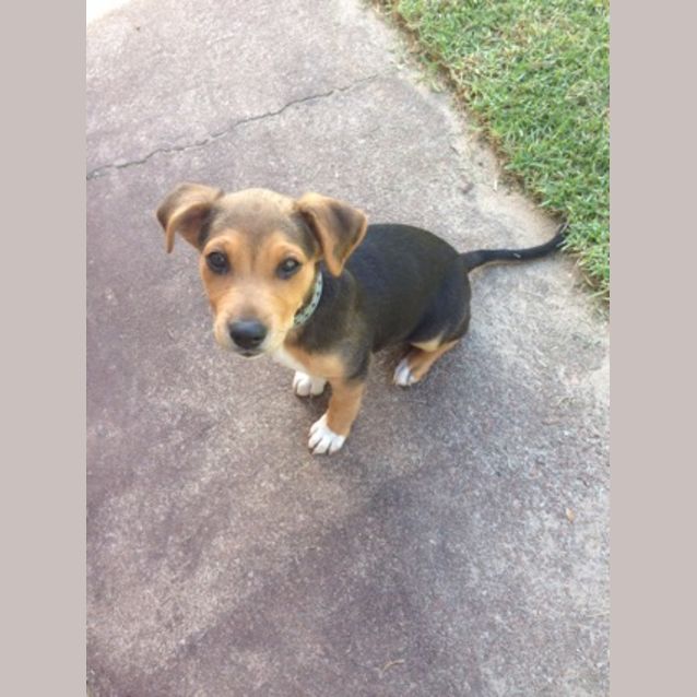 Photo of Jackson Ed0137 